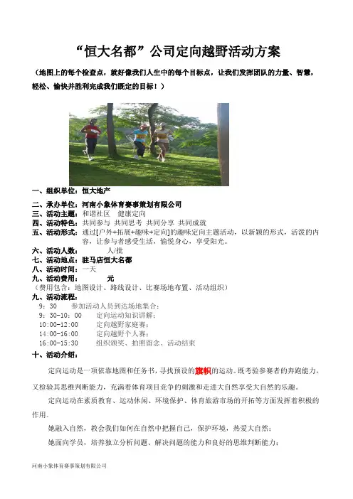 恒大名都定向策划案