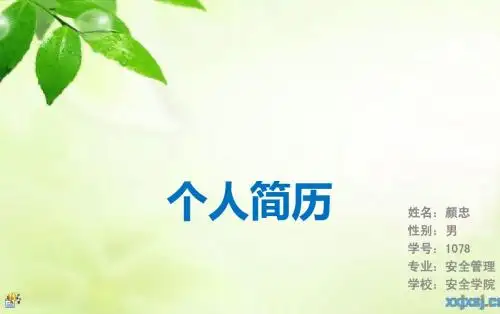 大学生PPT个人简历