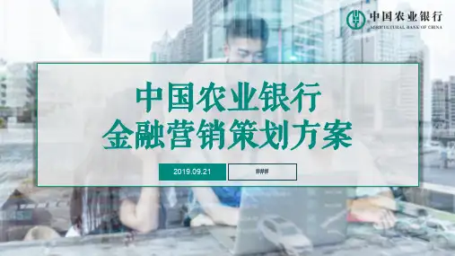 中国农业银行金融营销策划方案