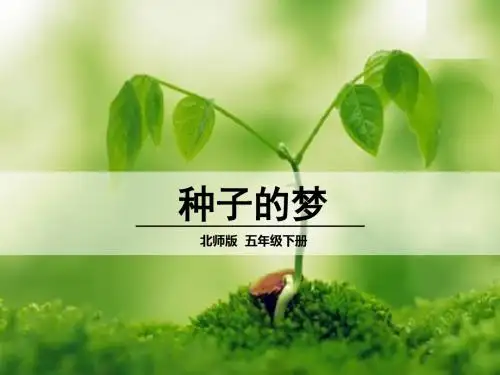 北师大版小学语文五年级下册《五 心愿 种子的梦》优质课PPT课件_0