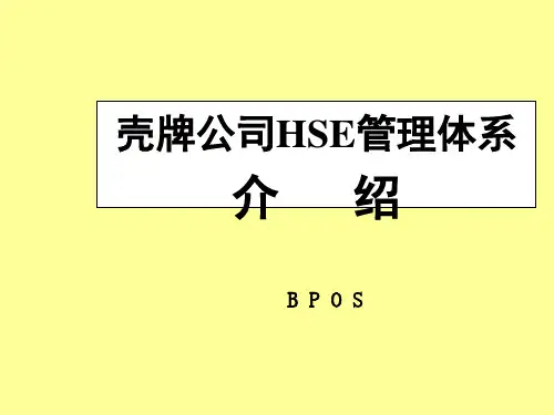 壳牌公司HSE管理体系介绍