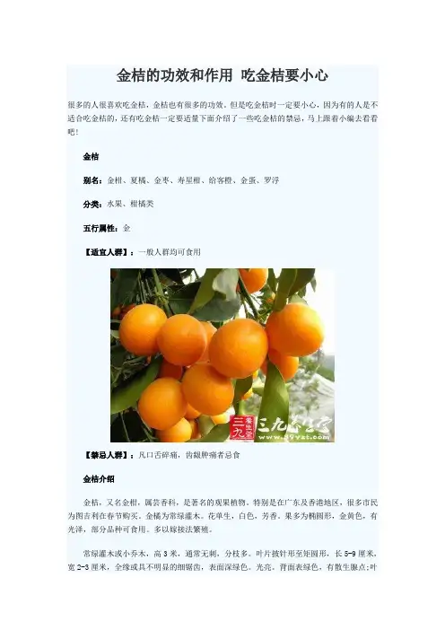 金桔的功效和作用 吃金桔要小心