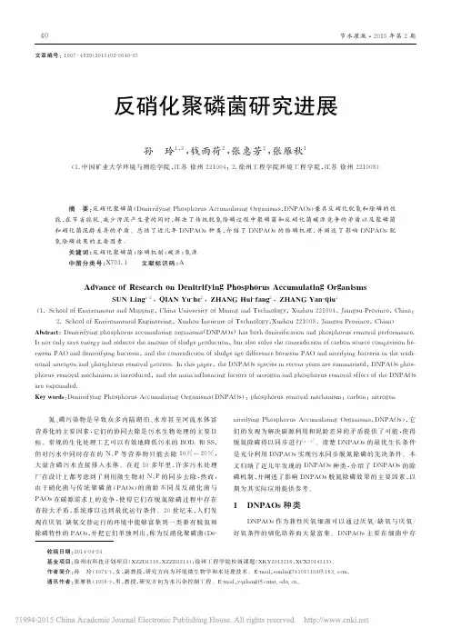 反硝化聚磷菌研究进展_孙玲