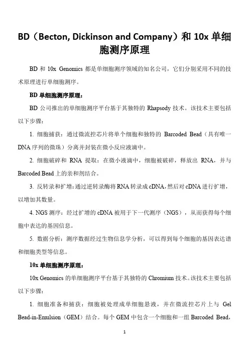 bd和10x单细胞测序原理