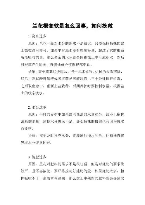兰花根变软是怎么回事,如何挽救