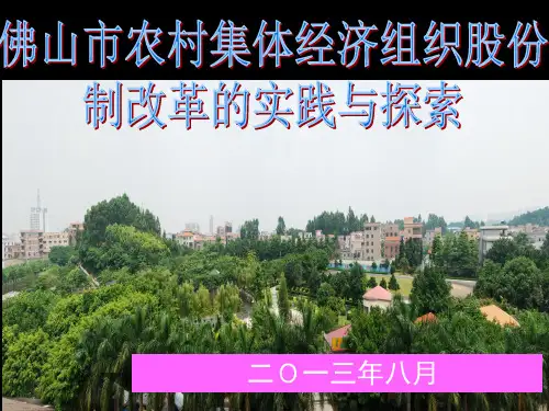 【精品】1308周彦玲佛山农村集体经济组织股份制改革的实践与