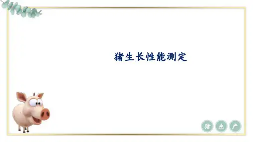 猪生长性能测定课件(共28张PPT)《猪生产》