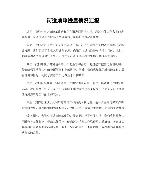 河道清障进展情况汇报
