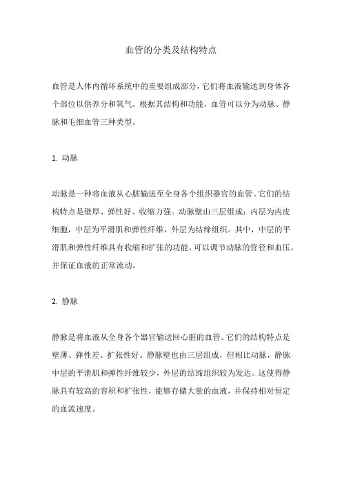血管的分类及结构特点
