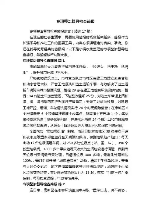 专项整治督导检查简报范文（精选17篇）