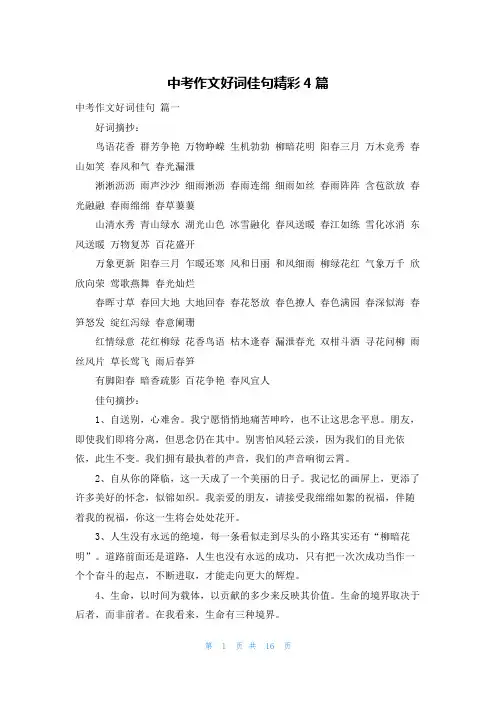 中考作文好词佳句精彩4篇