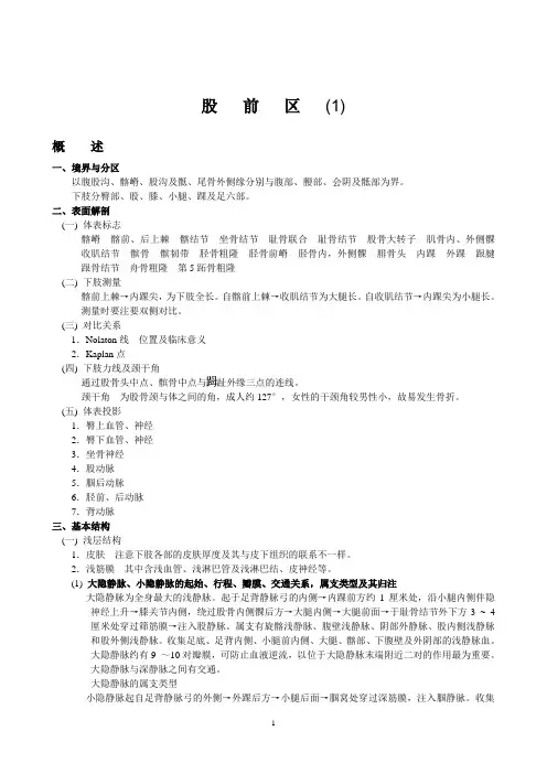 局部解剖__重点