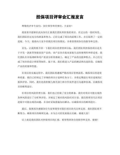 担保项目评审会汇报发言