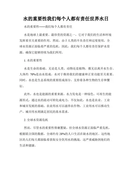 水的重要性我们每个人都有责任世界水日