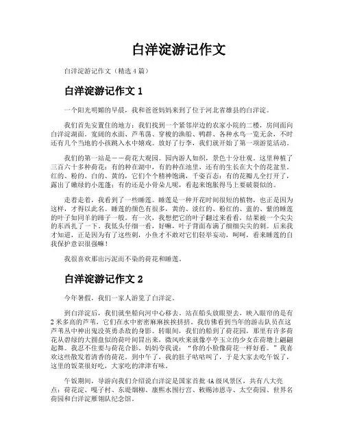 白洋淀游记作文