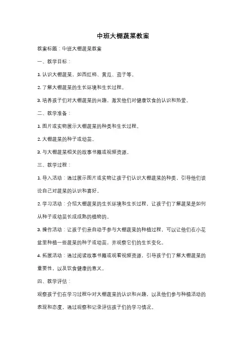 中班大棚蔬菜教案