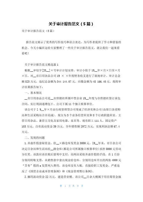 关于审计报告范文(5篇)