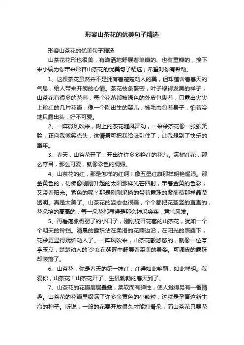 形容山茶花的优美句子精选