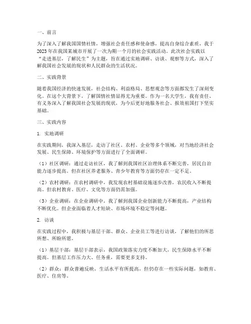 国情社情社会实践报告