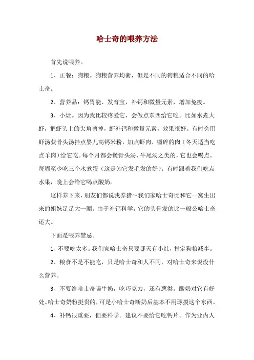 哈士奇的喂养方法