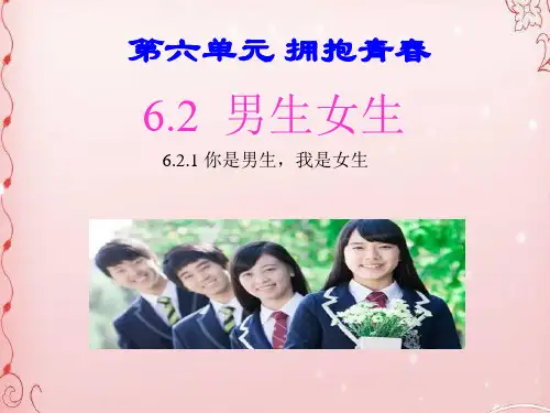 你是男生,我是女生PPT课件3