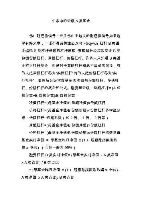 牛市中的分级b类基金