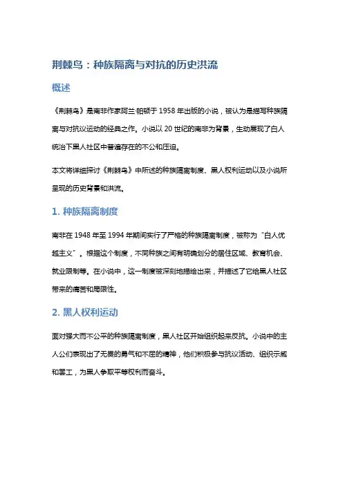 《荆棘鸟》：种族隔离与对抗的历史洪流