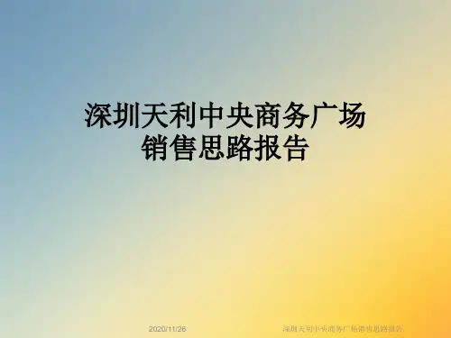 深圳天利中央商务广场销售思路报告