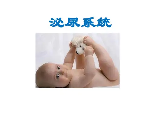 幼儿排泄系- 副本
