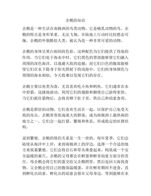 企鹅的知识