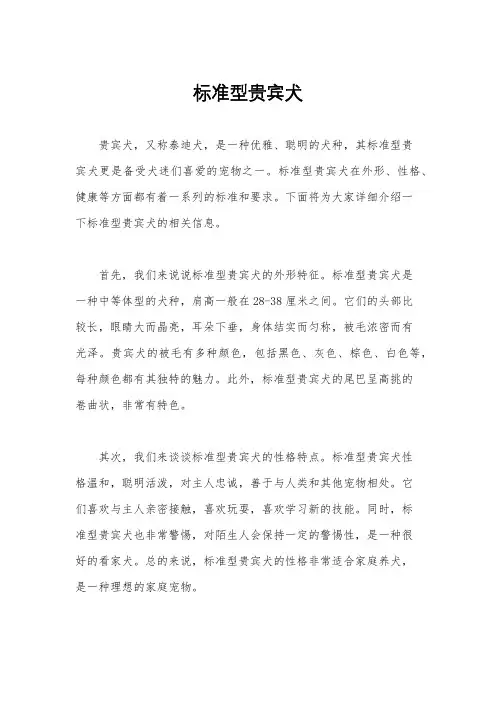 标准型贵宾犬