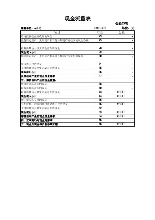 简易现金流量表编制模板texst