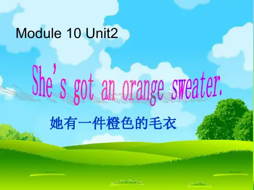 新外研版三年级英语下册Module 10 Unit 2 She's got an orange sweater课件2.ppt