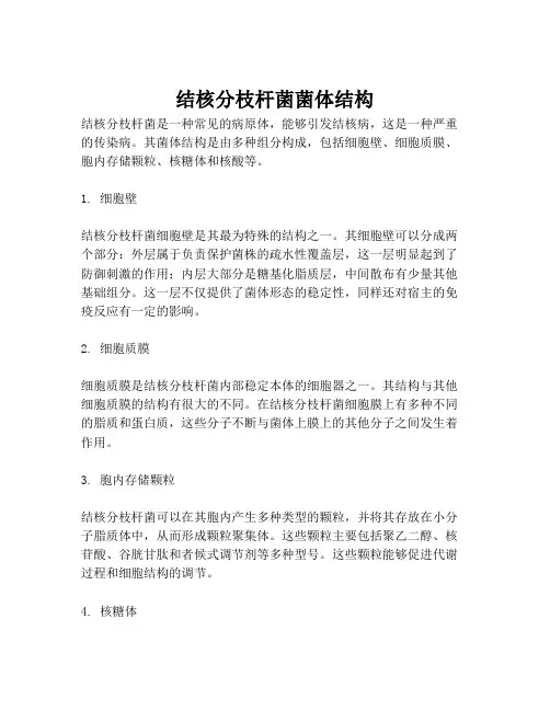 结核分枝杆菌菌体结构