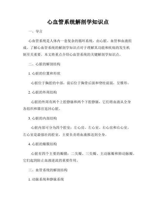 心血管系统解剖学知识点