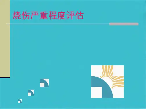 烧伤严重程度评估(共34张PPT)