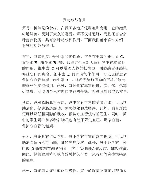 笋功效与作用