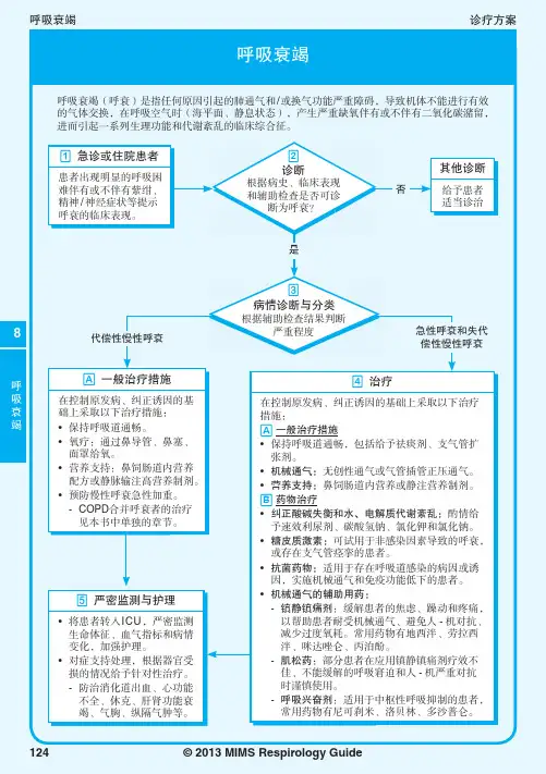 2013MIMS呼吸系统疾病指南-8-呼吸衰竭
