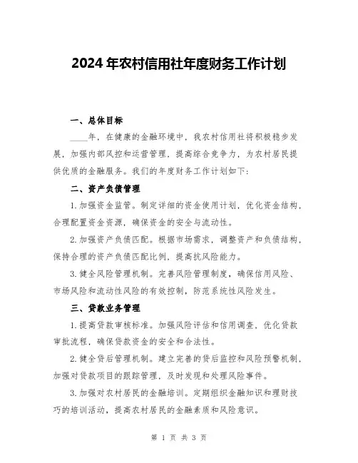 2024年农村信用社年度财务工作计划
