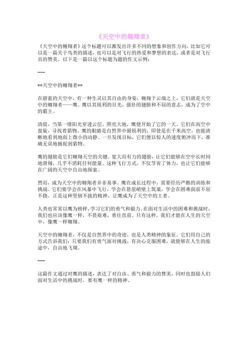 《天空中的翱翔者》