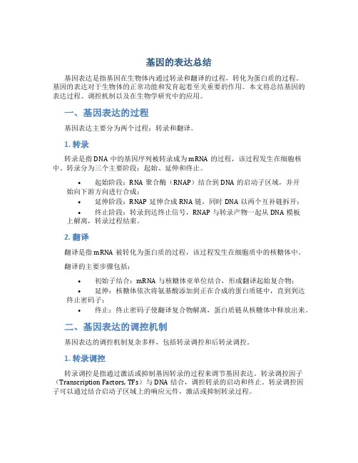 基因的表达总结