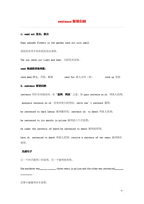 高考英语 重点词汇归纳 sentence短语归纳复习剖析