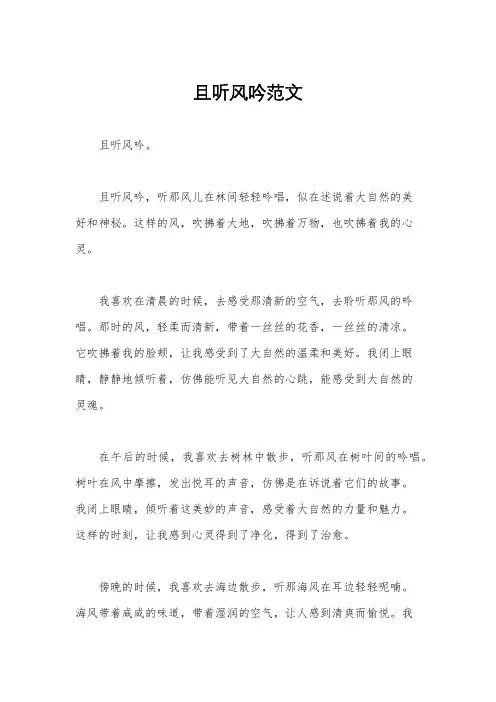 且听风吟范文