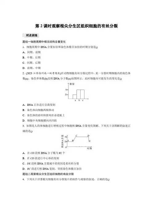 高中生物新教材同步训练必修一第6章第1节第2课时观察根尖分生区组织细胞的有丝分裂