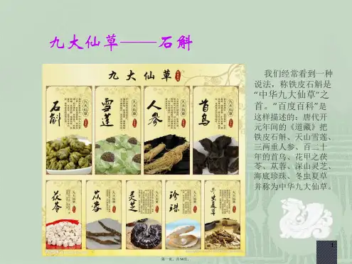 铁皮石斛的介绍