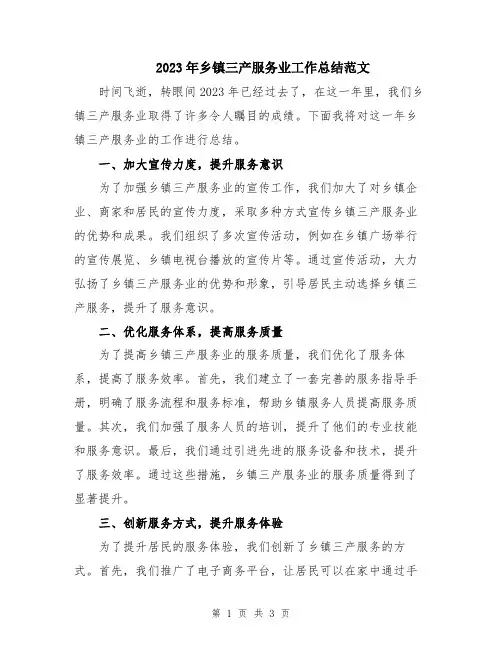 2023年乡镇三产服务业工作总结范文