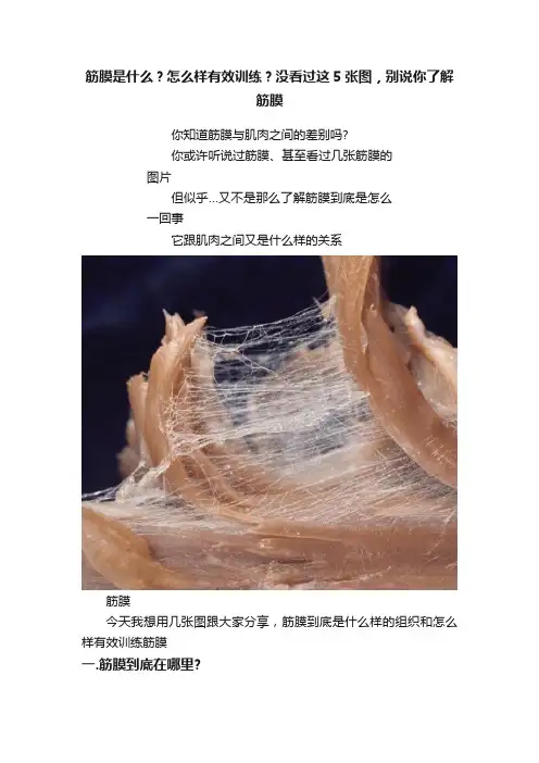 筋膜是什么？怎么样有效训练？没看过这5张图，别说你了解筋膜
