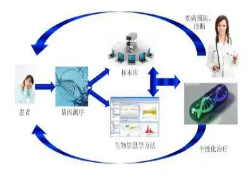 人教版高中生物选修2《1.2基因诊断与基因治疗》 课件(共28张PPT)