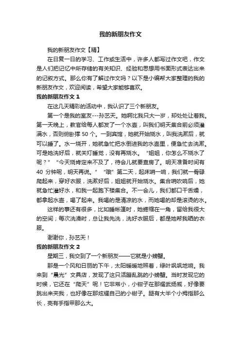 我的新朋友作文【精】