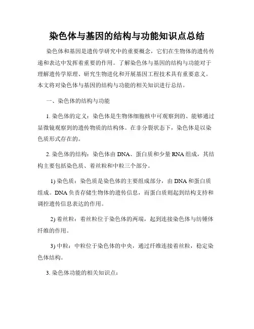 染色体与基因的结构与功能知识点总结
